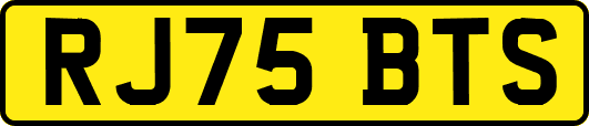 RJ75BTS