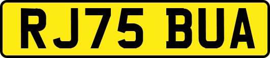 RJ75BUA