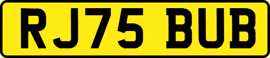 RJ75BUB