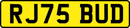 RJ75BUD