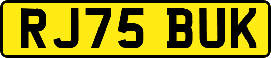 RJ75BUK