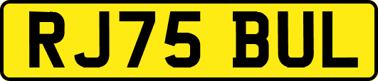 RJ75BUL