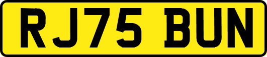 RJ75BUN