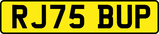 RJ75BUP