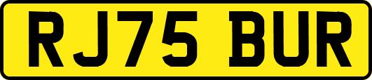 RJ75BUR