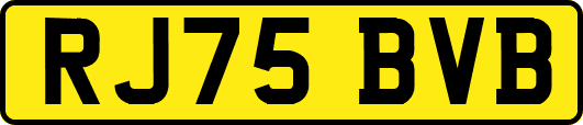 RJ75BVB