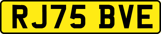 RJ75BVE