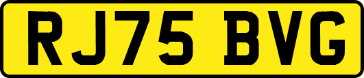 RJ75BVG