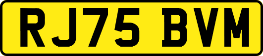 RJ75BVM