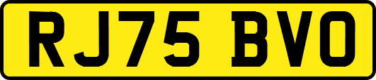 RJ75BVO