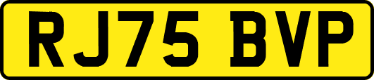 RJ75BVP
