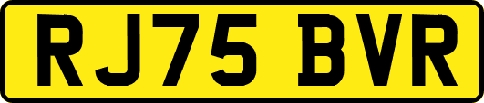 RJ75BVR