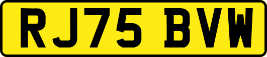 RJ75BVW