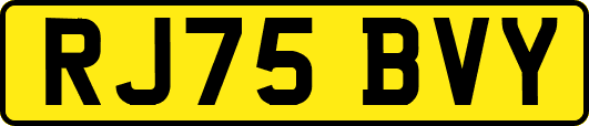 RJ75BVY