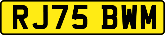 RJ75BWM