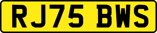 RJ75BWS