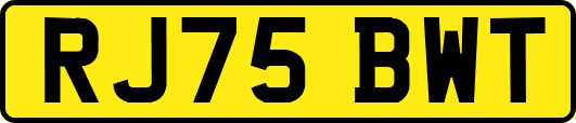RJ75BWT