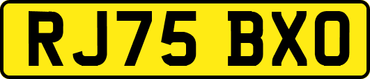 RJ75BXO