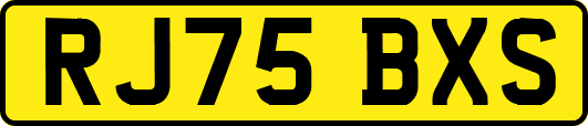 RJ75BXS