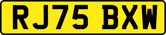 RJ75BXW