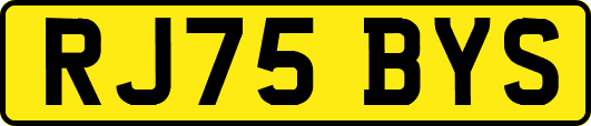 RJ75BYS