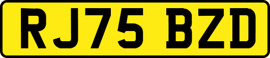 RJ75BZD
