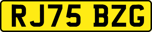 RJ75BZG