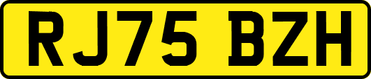 RJ75BZH