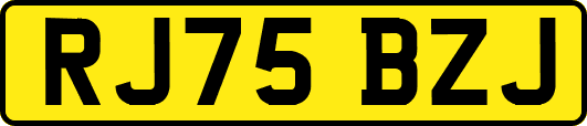 RJ75BZJ