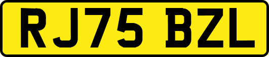 RJ75BZL