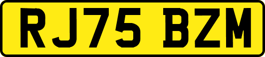 RJ75BZM