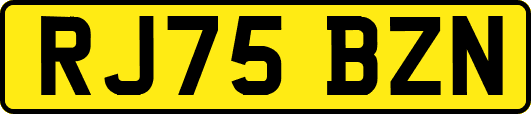 RJ75BZN