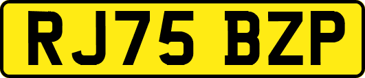RJ75BZP