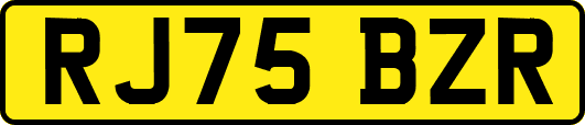 RJ75BZR