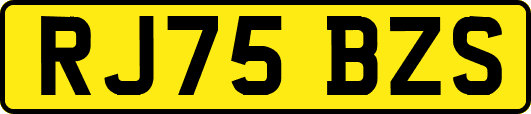 RJ75BZS