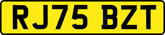 RJ75BZT