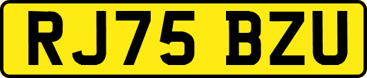 RJ75BZU