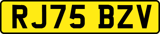 RJ75BZV
