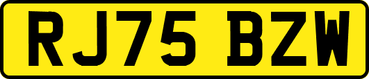 RJ75BZW