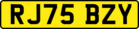RJ75BZY