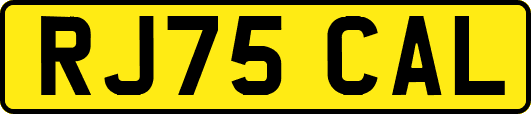 RJ75CAL