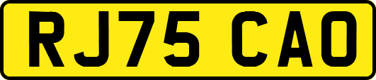 RJ75CAO
