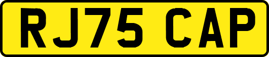 RJ75CAP