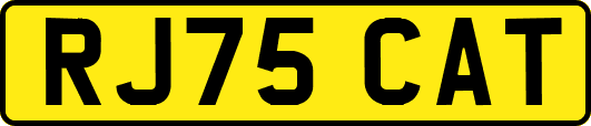 RJ75CAT