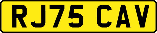 RJ75CAV