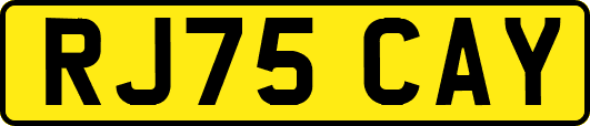 RJ75CAY