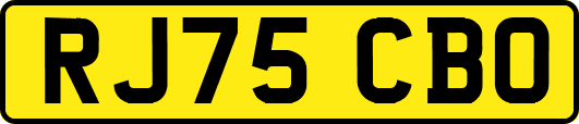 RJ75CBO
