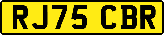 RJ75CBR