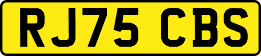 RJ75CBS