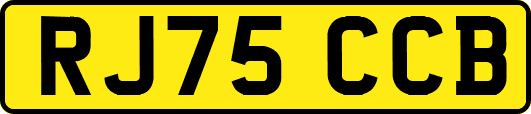 RJ75CCB